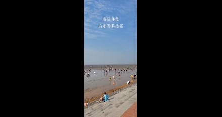 海邊尋寶，劉家灣趕海園—泰安金輝國(guó)旅